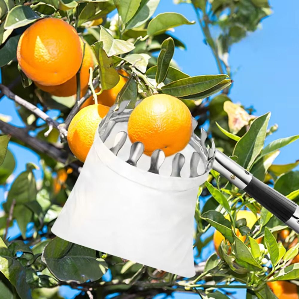 Fruit Picker Basket Telescopic Pole - Stainless Steel Fruit Picker Machine High