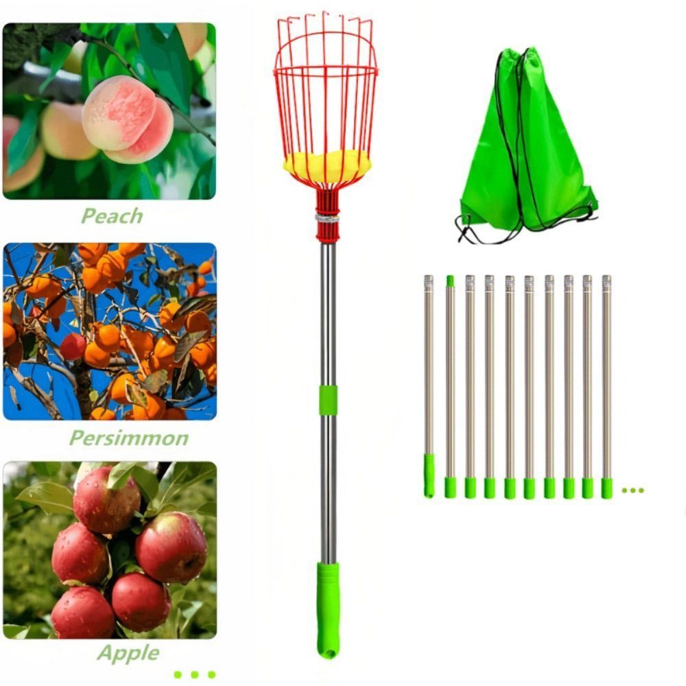 with Basket Fruit Picker Pole  - Fruit Picker Basket Telescopic Pole 评论和价格