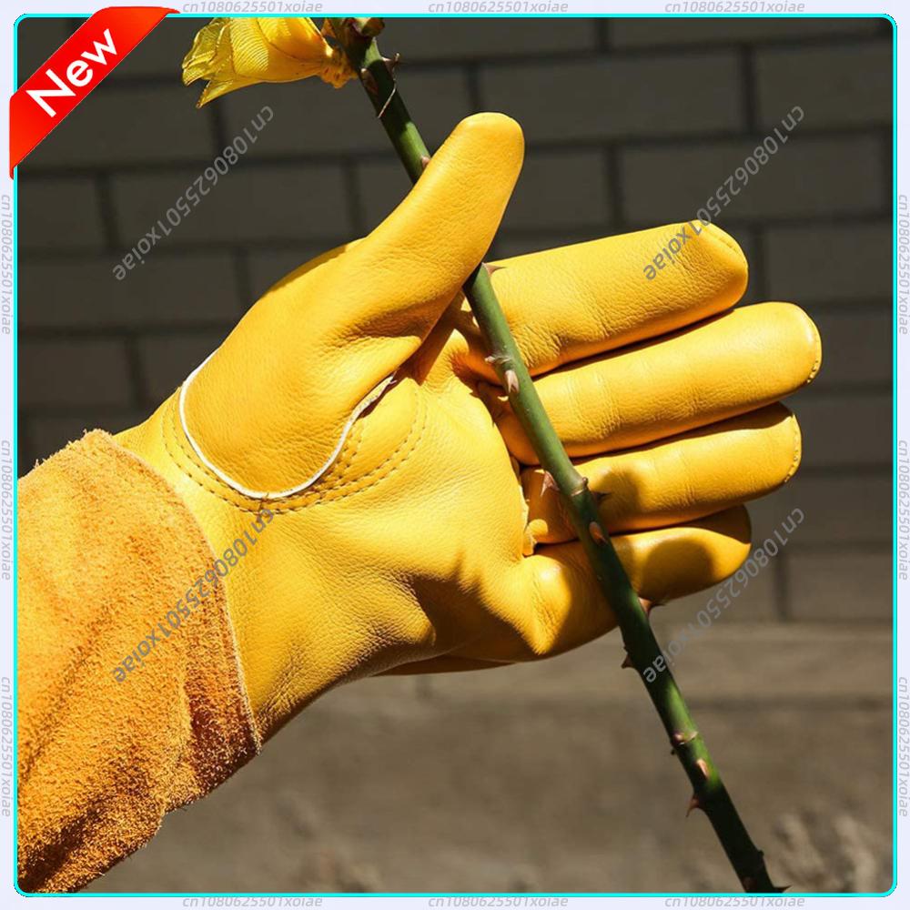 1 Pair Long Thorn Proof Garden - Gardening Gloves Thorn Proof Leather 评论和价格