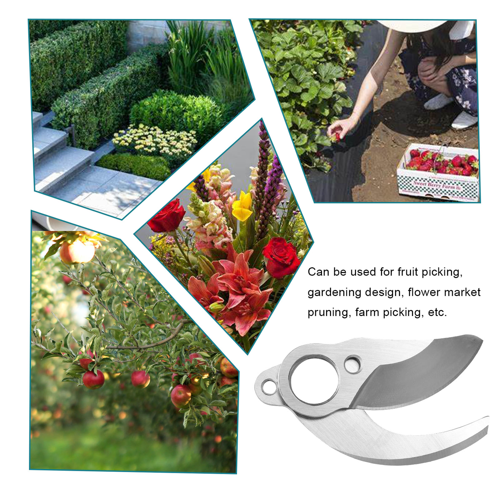 30 mm SK5 Alloy Steel Titanium - Cordless Electric Pruning Shears 30Mm 评论和价格