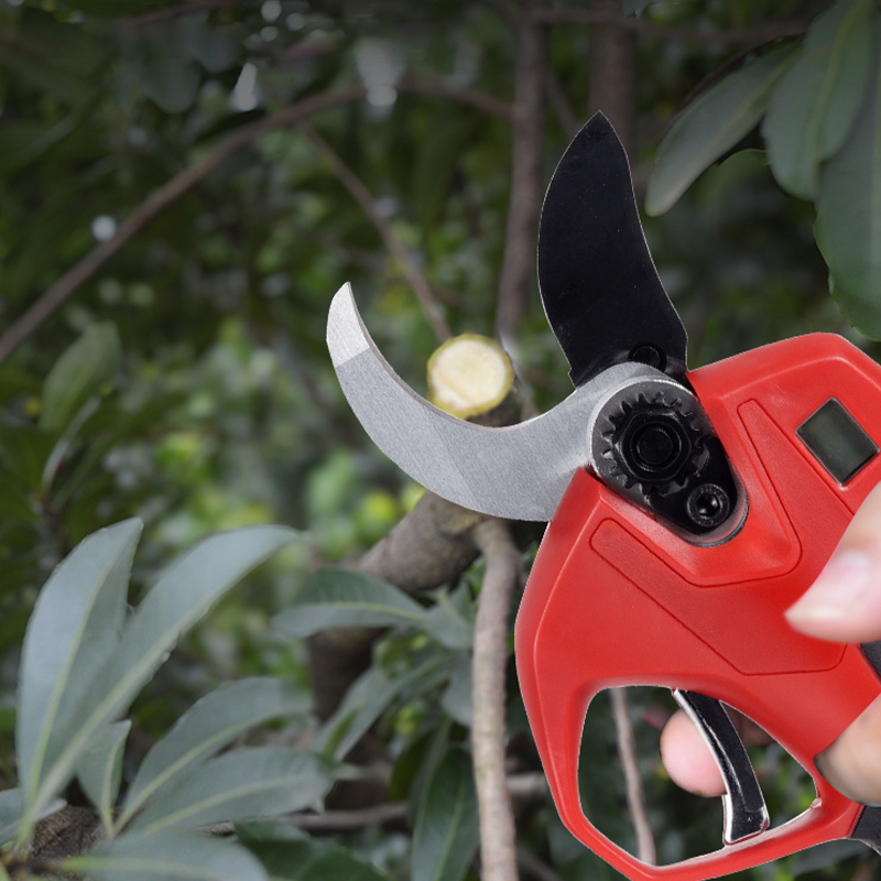 Garden Wireless Electric Pruni - Electric Pruner With Extension Pole 评论和价格