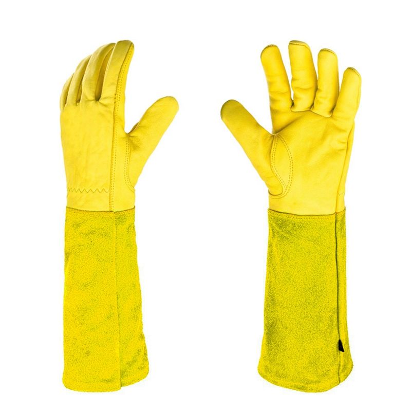AEE4-Rose Pruning Gloves For M - Gardening Gloves Thorn Proof Leather 评论和价格