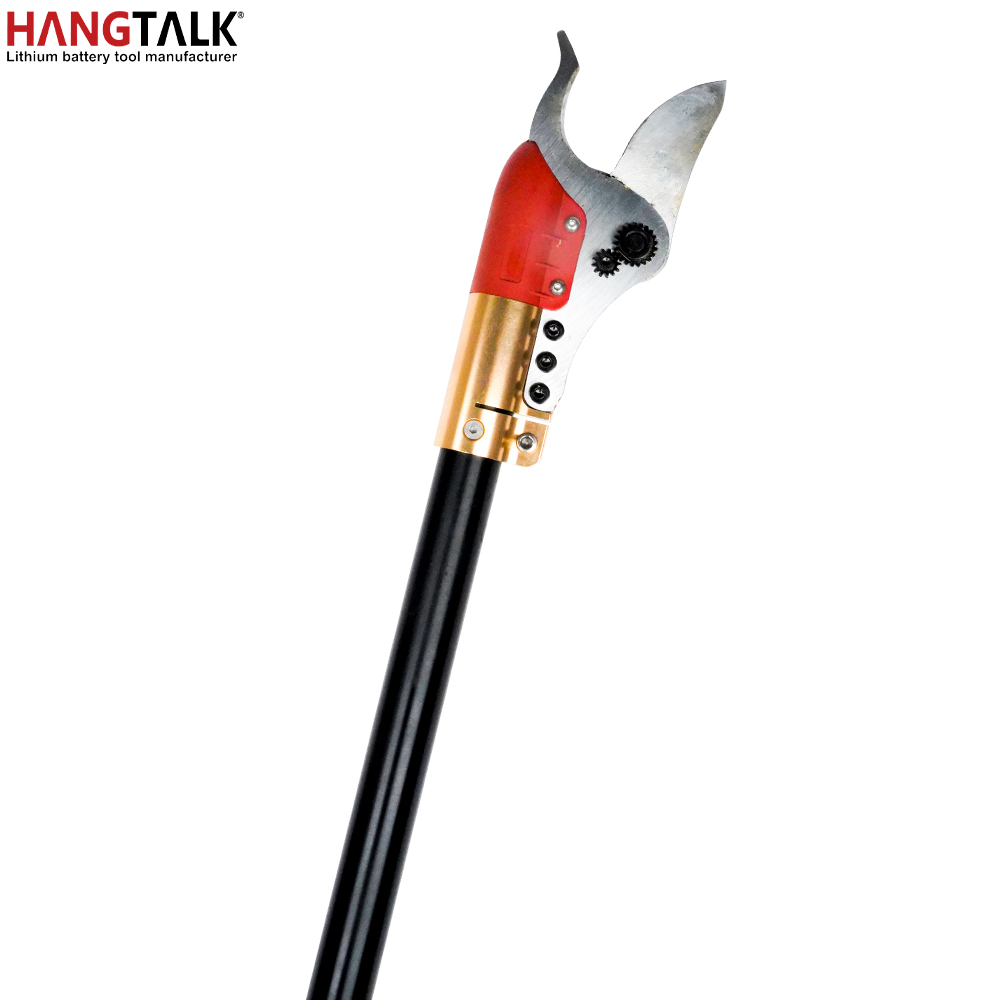 HANGTALK Professional Cordless - Electric Pruner With Extension Pole 评论和价格