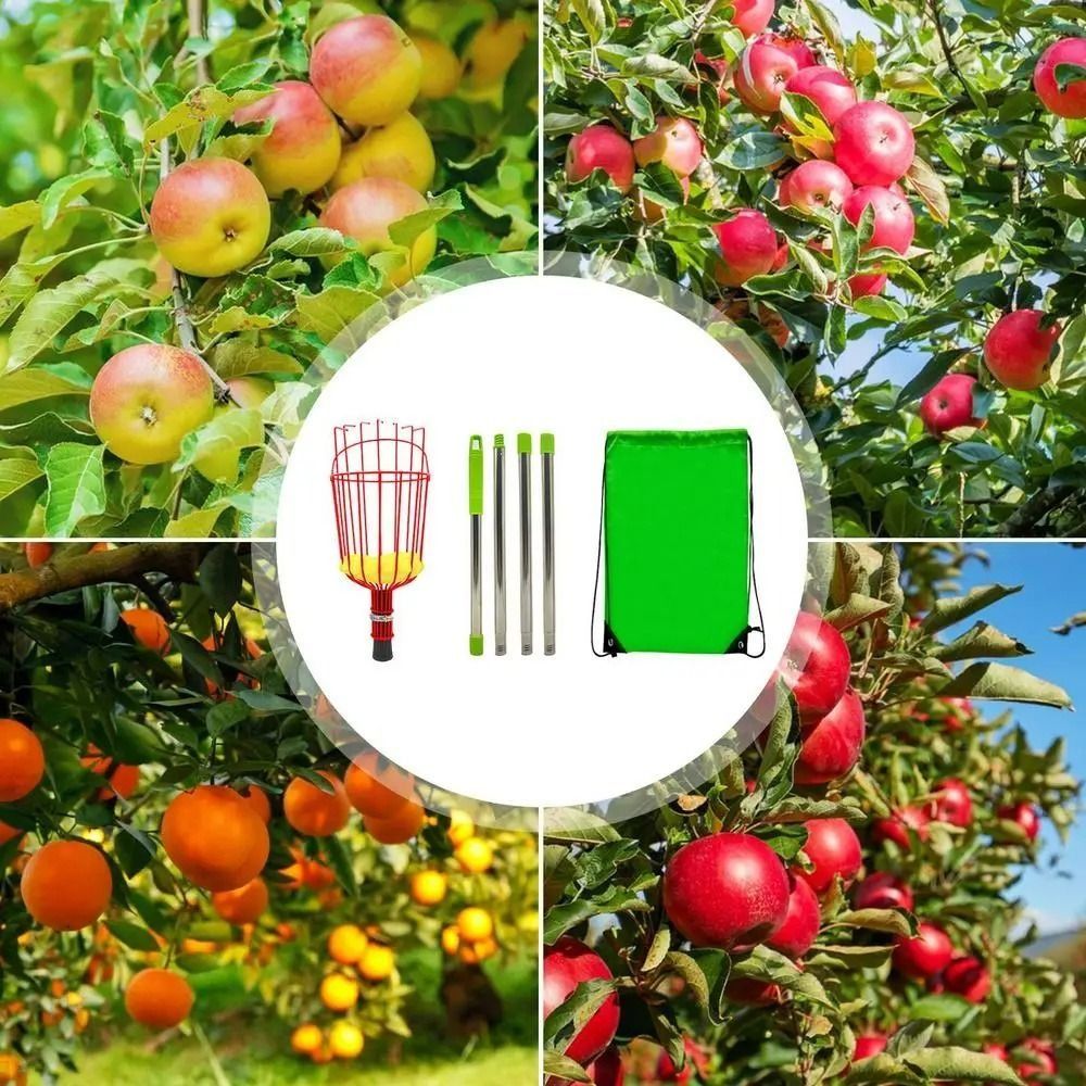 with Basket Fruit Picker Pole  - Fruit Picker Basket Telescopic Pole 评论和价格