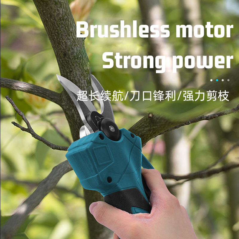 FORGEKIN Brushless Telescoping - Electric Pruner With Extension Pole 评论和价格
