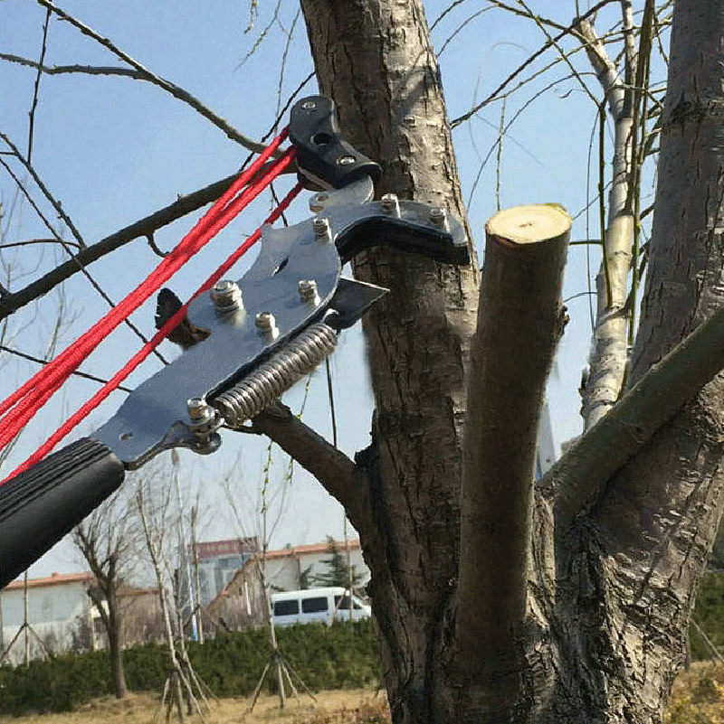 For Extentool 7.2 Meters Long  - Electric Pruner With Extension Pole 评论和价格