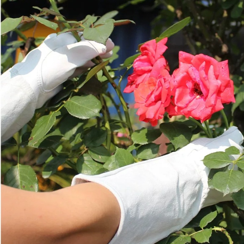A Pair of Garden Gloves Thorn  - Gardening Gloves Thorn Proof Leather 评论和价格