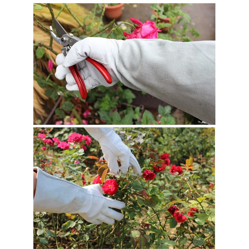 A Pair of Garden Gloves Thorn  - Gardening Gloves Thorn Proof Leather 评论和价格
