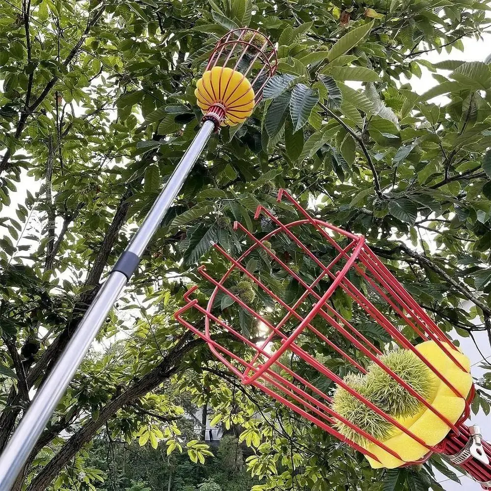 with Basket Fruit Picker Pole  - Fruit Picker Basket Telescopic Pole 评论和价格