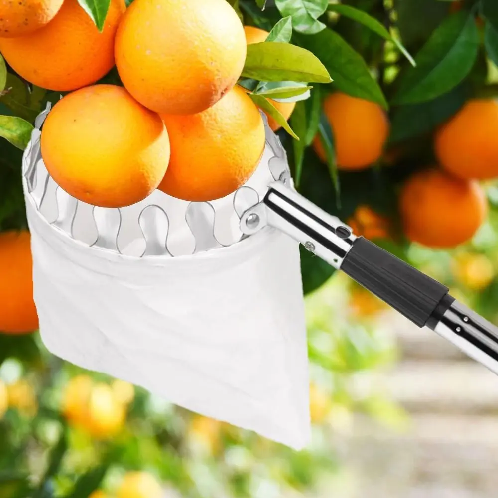 Stainless Steel Fruit Picker M - Fruit Picker Basket Telescopic Pole 评论和价格