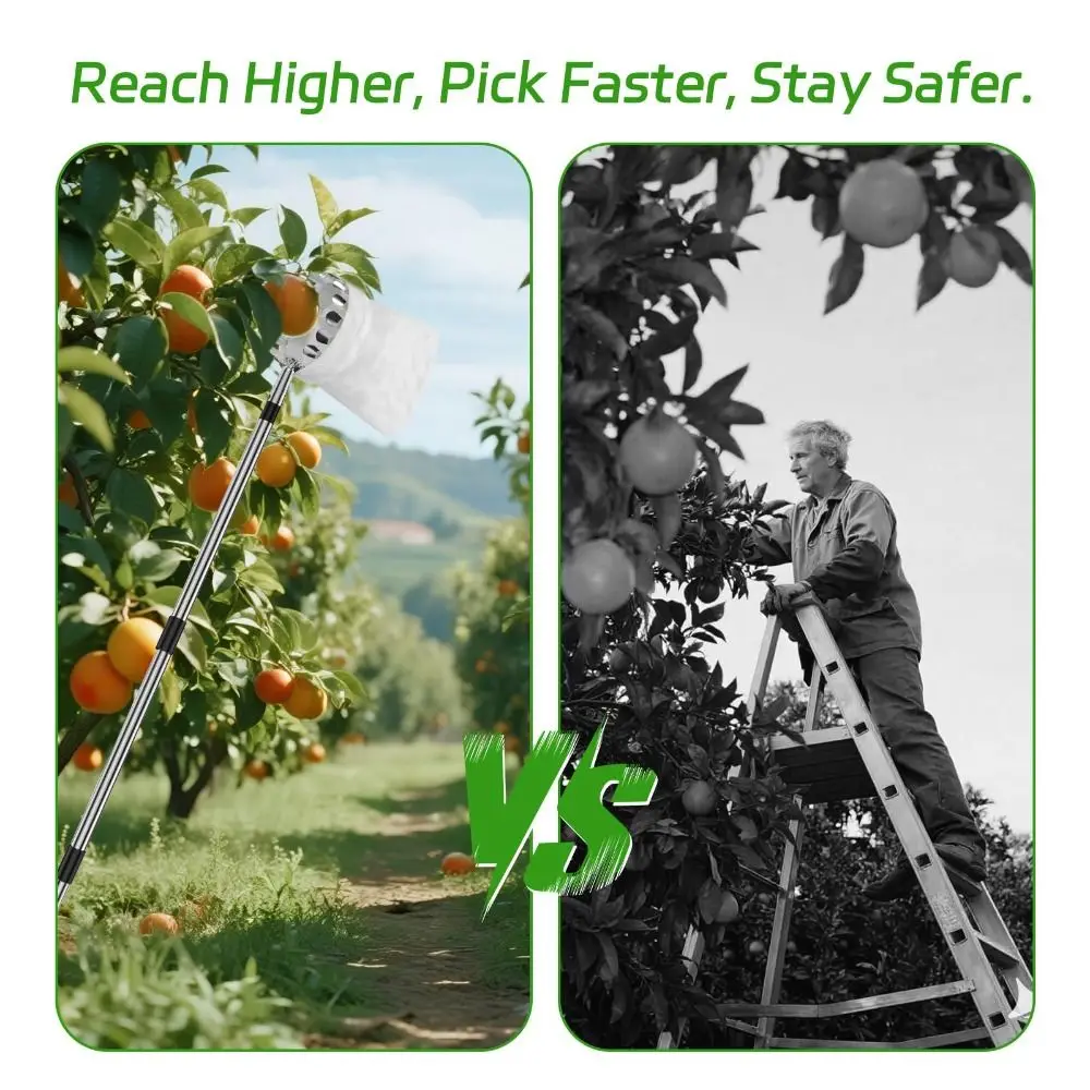 Stainless Steel Fruit Picker M - Fruit Picker Basket Telescopic Pole 评论和价格