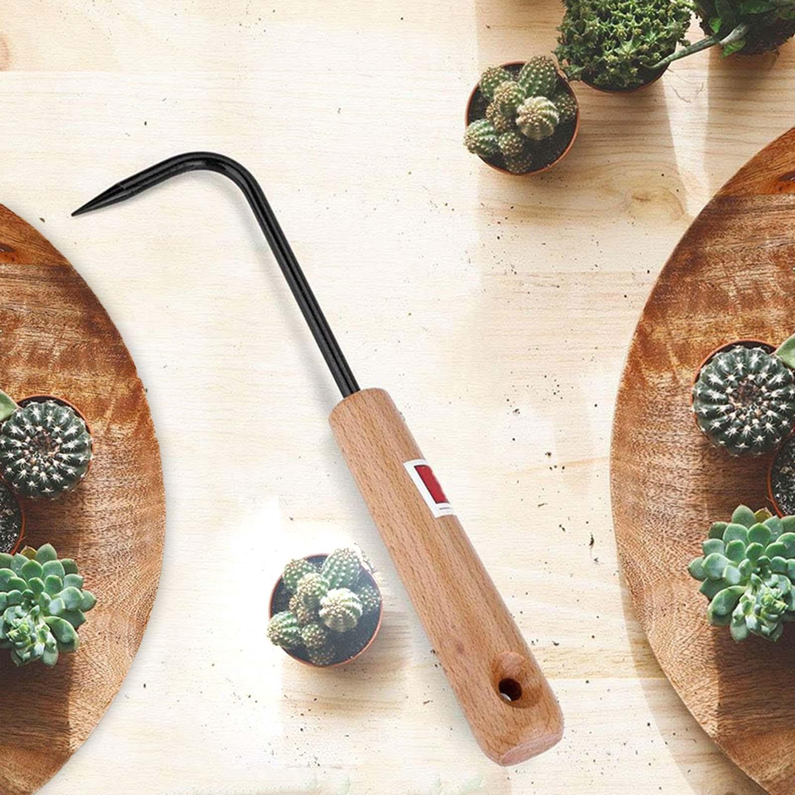 Root Pick Rake Bonsai Gardenin - Root Hook Bonsai Repotting Rake 评论和价格