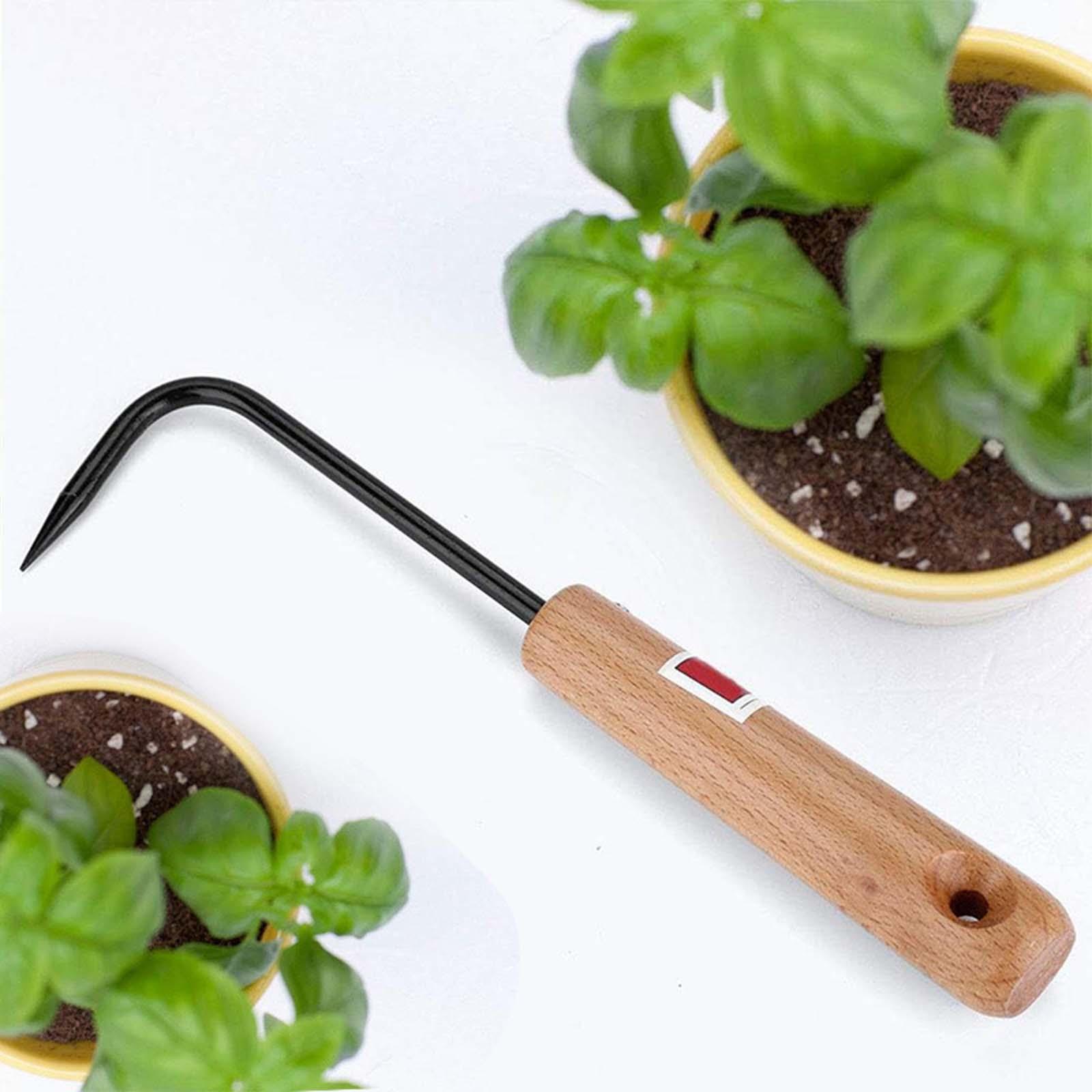Root Pick Rake Bonsai Gardenin - Root Hook Bonsai Repotting Rake 评论和价格