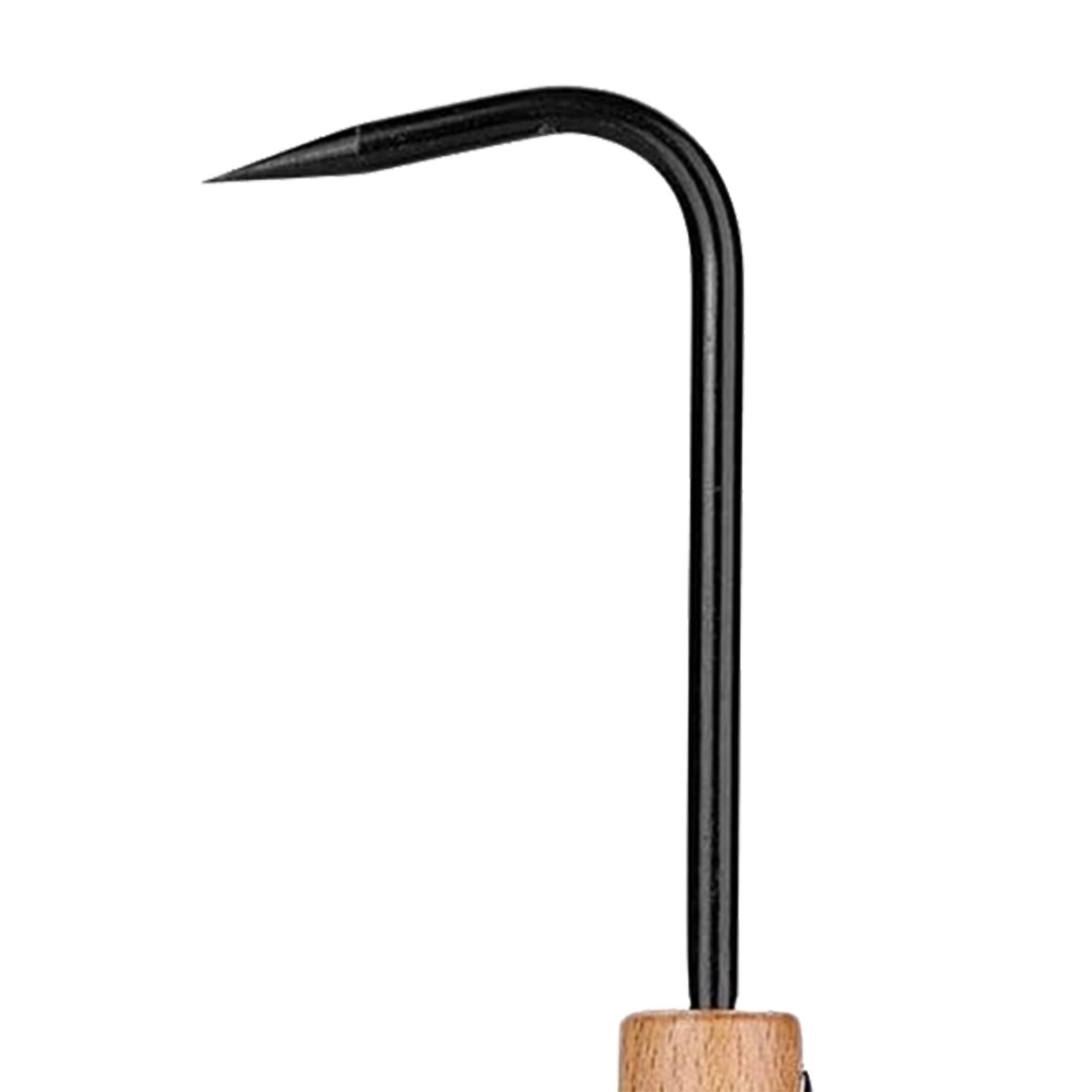 Root Pick Rake Bonsai Gardenin - Root Hook Bonsai Repotting Rake 评论和价格