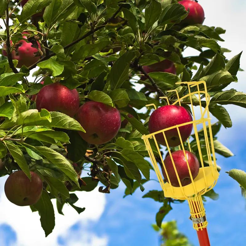 for Winslow & Ross Garden Port - Fruit Picker Basket Telescopic Pole 评论和价格