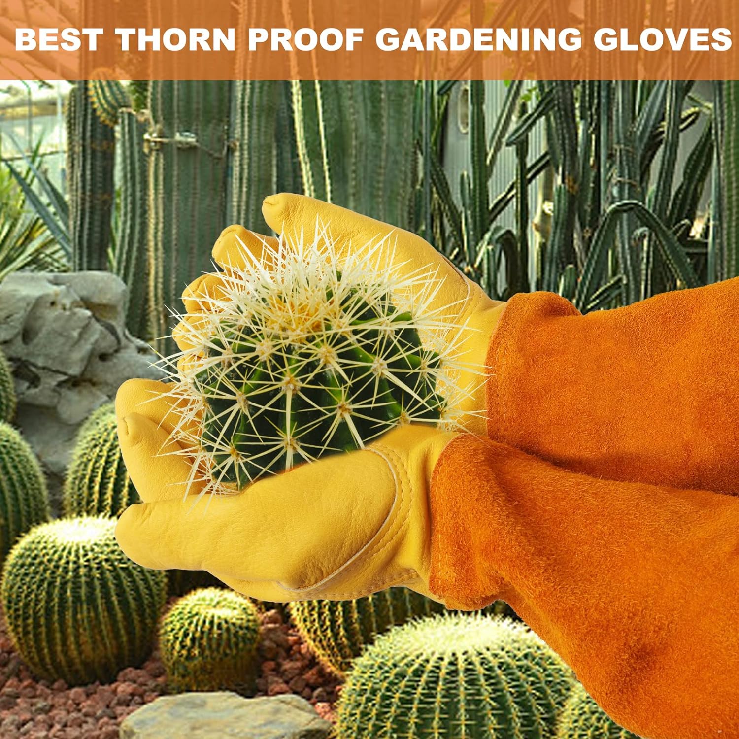 S-XL Leather Gardening Gloves  - Gardening Gloves Thorn Proof Leather 评论和价格