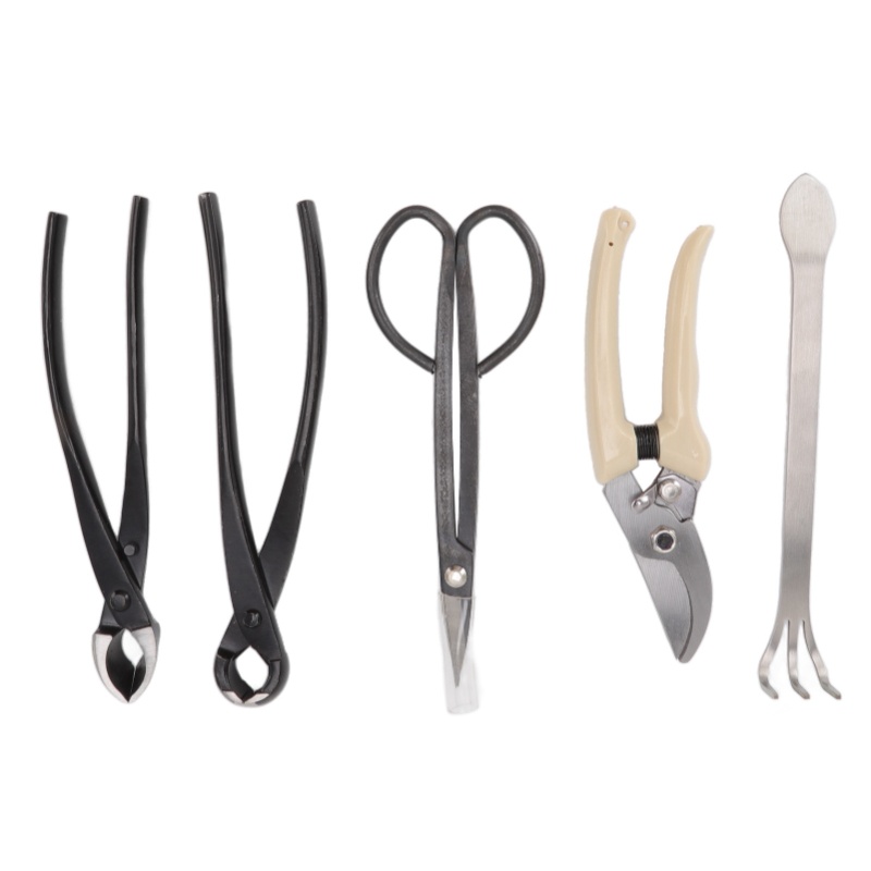 5Pcs Bonsai Tool Set Kit Carbo - Bonsai Tool Set Stainless Carbon Steel 评论和价格