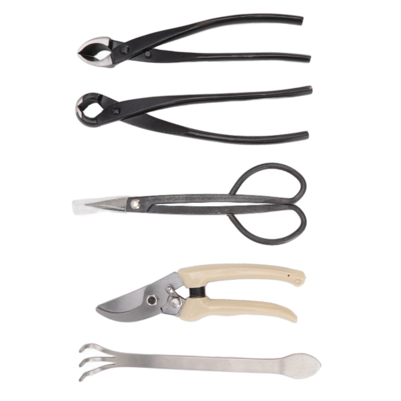 5Pcs Bonsai Tool Set Kit Carbo - Bonsai Tool Set Stainless Carbon Steel 评论和价格