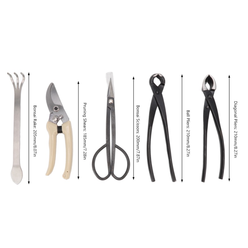 5Pcs Bonsai Tool Set Kit Carbo - Bonsai Tool Set Stainless Carbon Steel 评论和价格