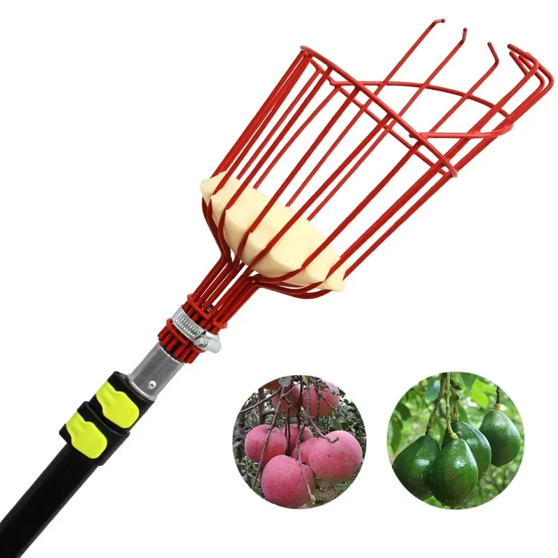 2026 Latest Fruit Picker Pole  - Fruit Picker Basket Telescopic Pole 评论和价格