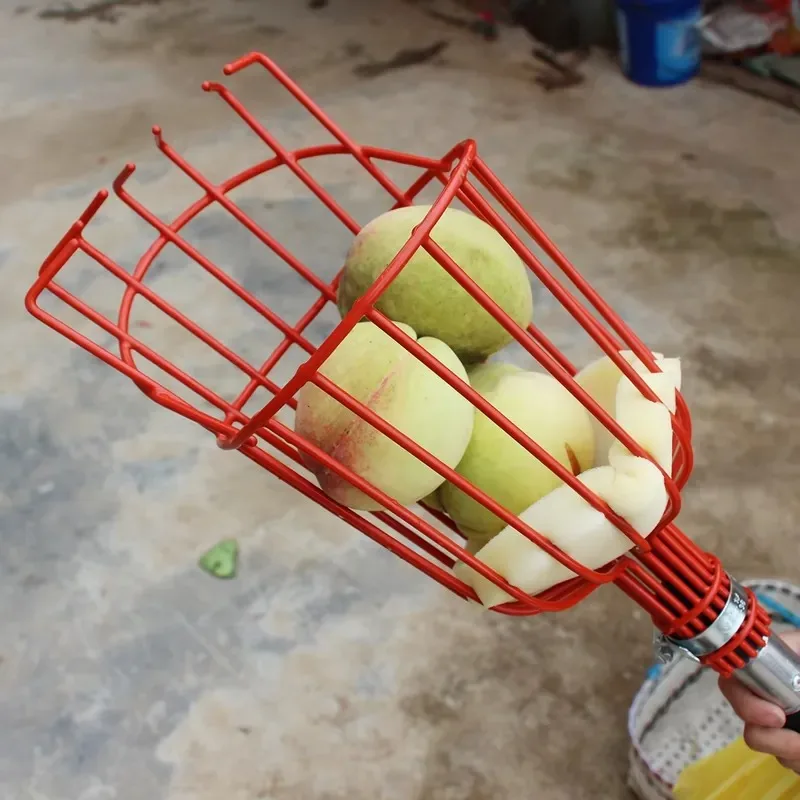 2026 Latest Fruit Picker Pole  - Fruit Picker Basket Telescopic Pole 评论和价格